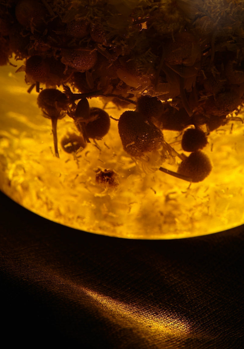 What is tisane?