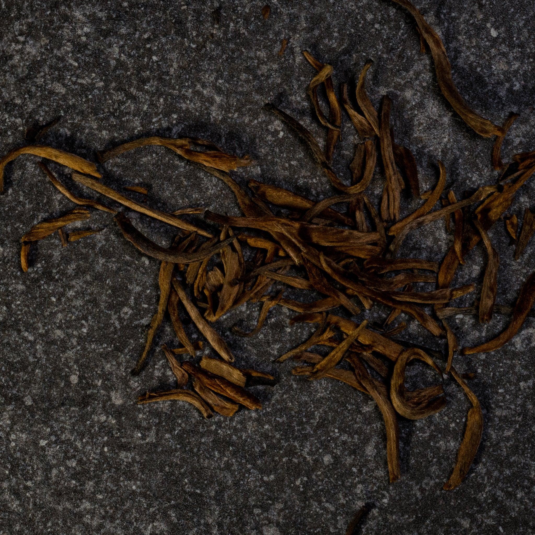 Yunnan Old Tree Gold Bud